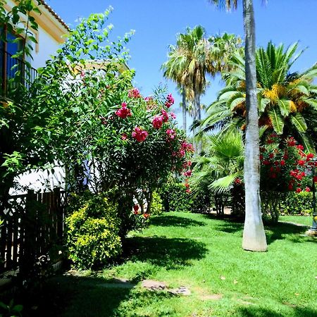 Planta Baja Con Porche Y Piscina, Cerca Del Mar Leilighet Denia Eksteriør bilde