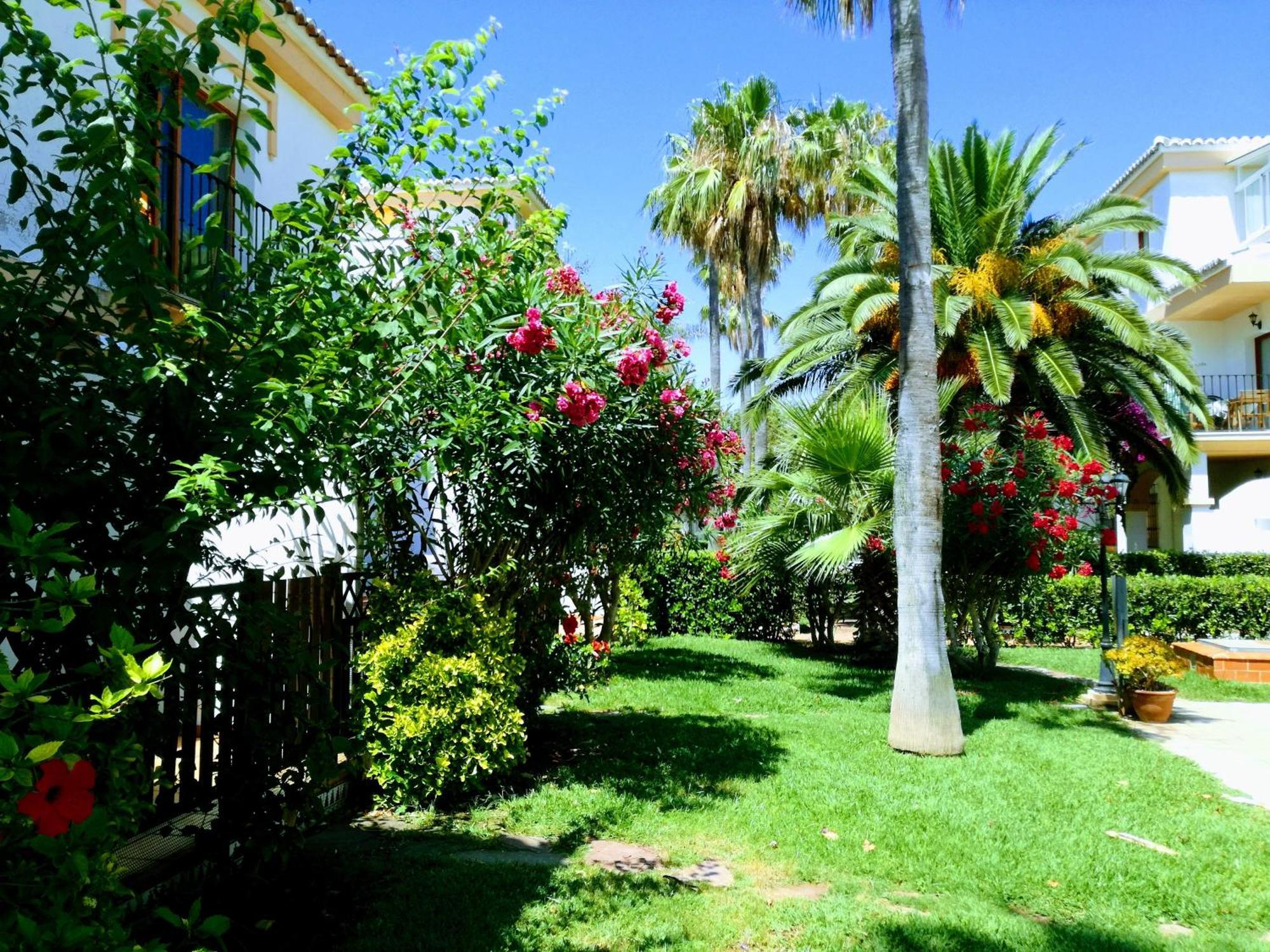 Planta Baja Con Porche Y Piscina, Cerca Del Mar Leilighet Denia Eksteriør bilde